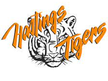 Tigers Logo